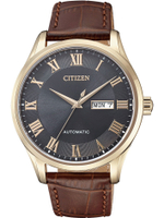 Мужские наручные часы Citizen NH8363-14H