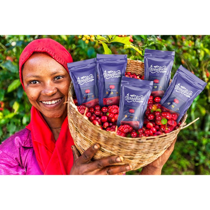 Кофе в зёрнах Nivona&amp;Torrefacto Ethio, 1кг