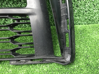 Решетка перед. бампера BMW 5er G30 (17-20) M-paket