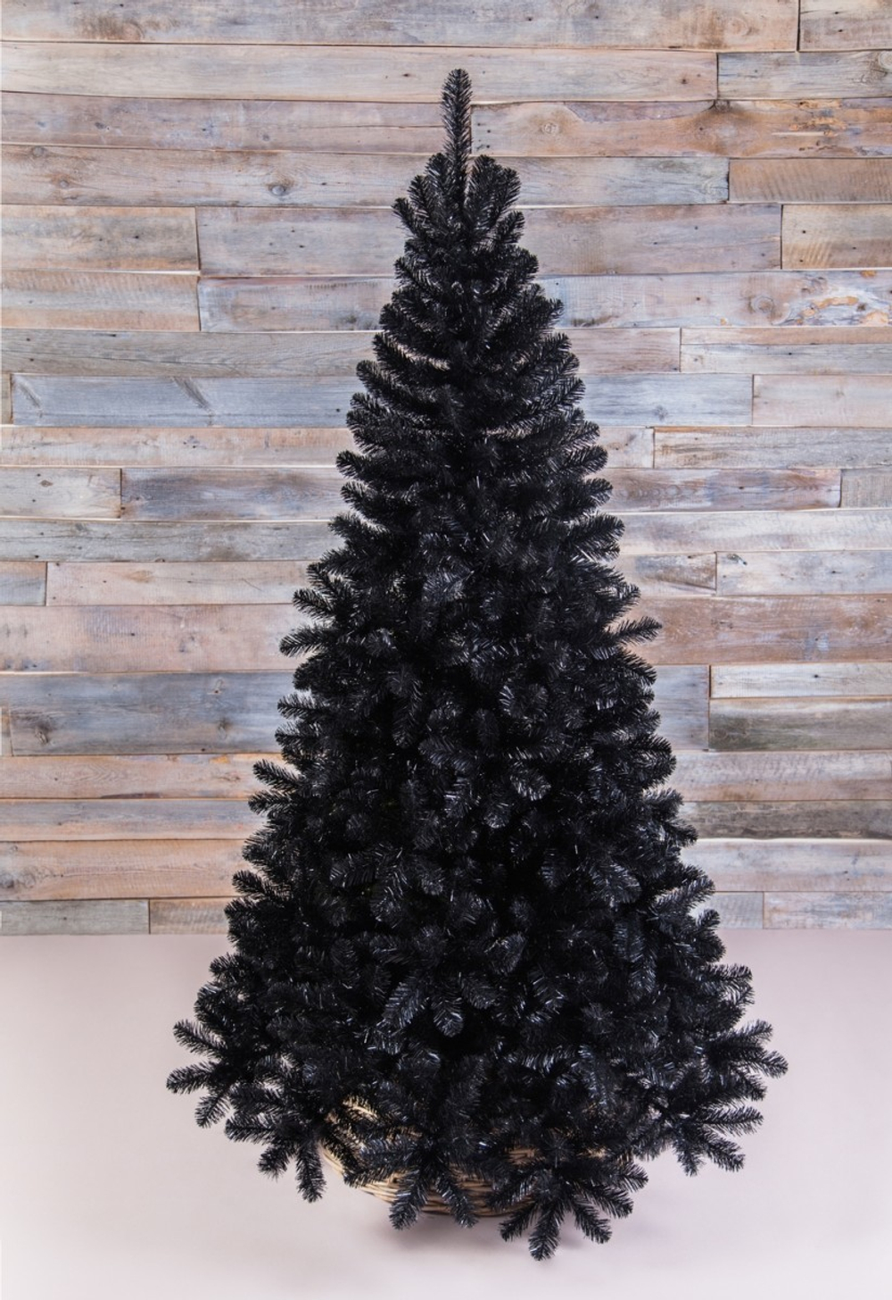 Сосна Санкт-Петербург 260см черная Triumph Tree