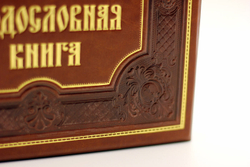 Родословная книга Ренессанс, обложка из экокожи