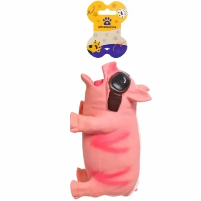 Игрушка резиновая для собак с пищалкой «МОЙ БРО», кабан в шоке, 21*10*11см (лейбл)