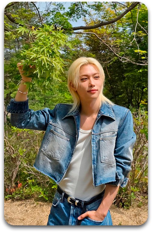 Карта / STRAY KIDS #3766