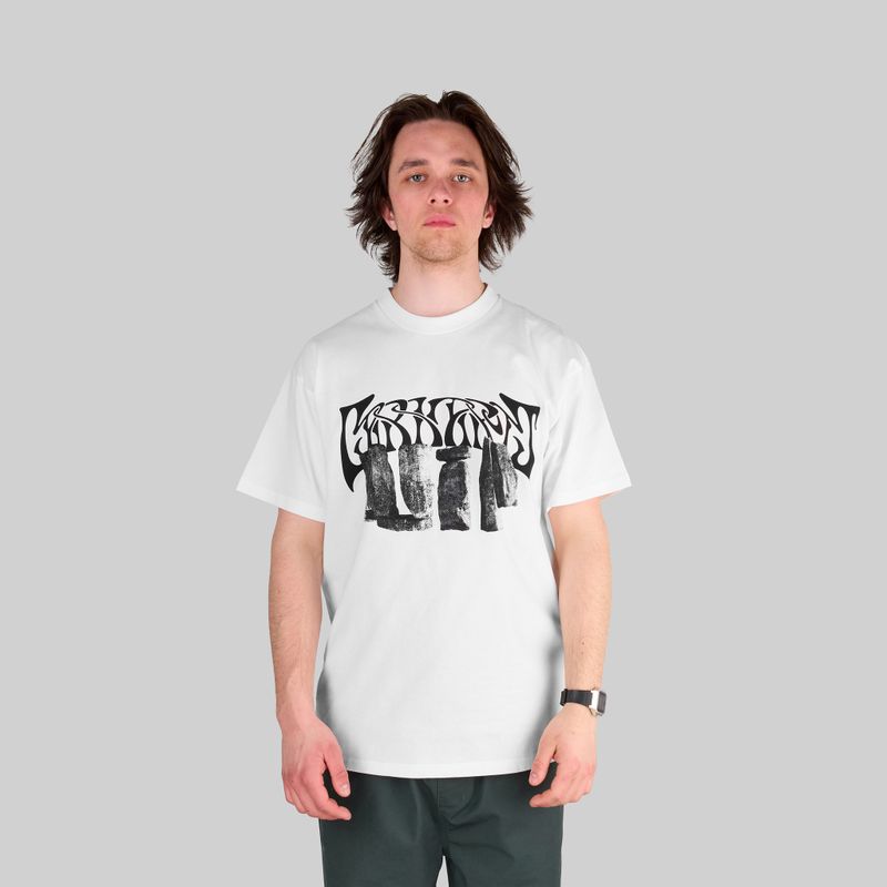 Футболка мужская Carhartt WIP Pagan артикул:I032877 - купить в магазине Дайс