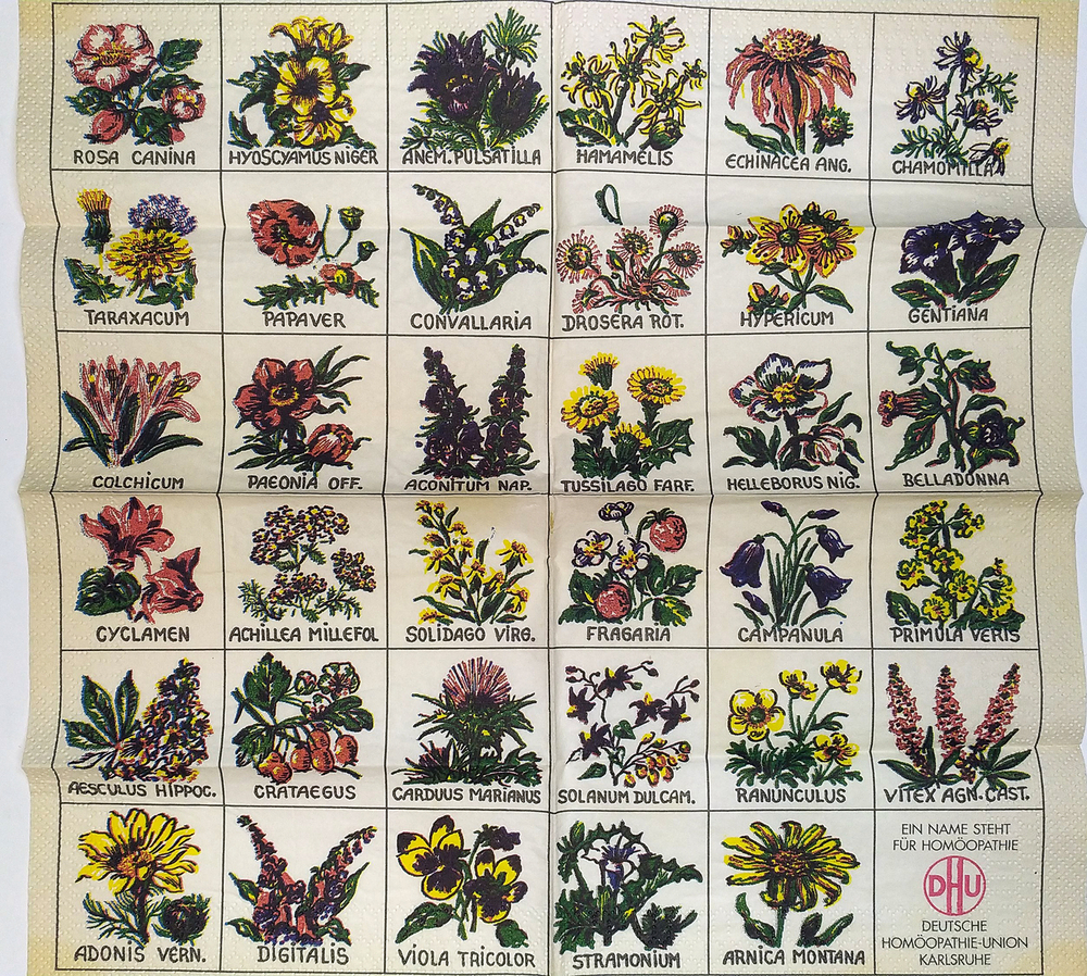 Ерохин Н. Д. Приусадебное цветоводство. Ярославль, Верхне-Волжское издат., 1972г.