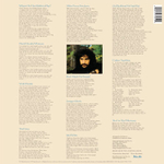 Cat Stevens / Tea For The Tillerman (LP)