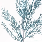 Ветка хвойная «Хрусталик» 75 см, Голубой