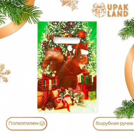 Новый год. Пакет "Сказочная красота", полиэтиленовый с вырубной ручкой, 20х30 см.