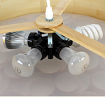 Pendant design lamp Spiro by LZF D80 (Brown)