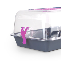 Террариум ZOOSET прозрачный серый/сиреневый - S (33х24х15 см)