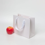 Пакет 23x20x10, белый, лента, картон VIP