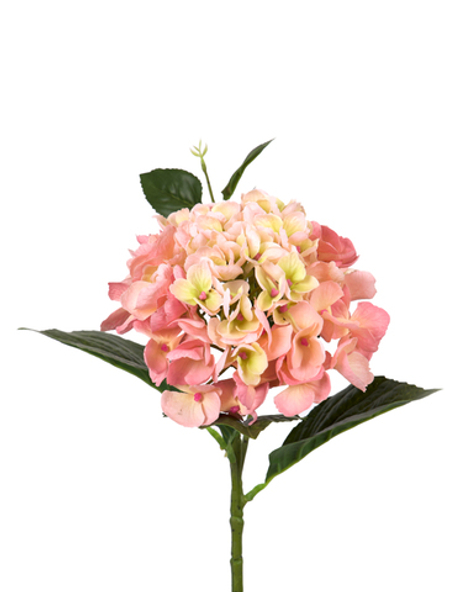 Гортензия крупнолистная small на стебле - Персиково-розовый