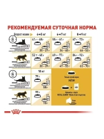 ROYAL CANIN MAINE COON Adult (Роял Канин Мейкун Эдалт) корм сухой для кошек 13 кг.