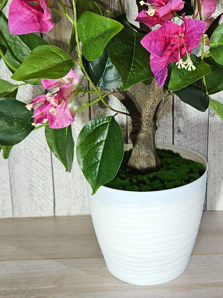 Бугенвиллия растение 70см лиловая в кашпо