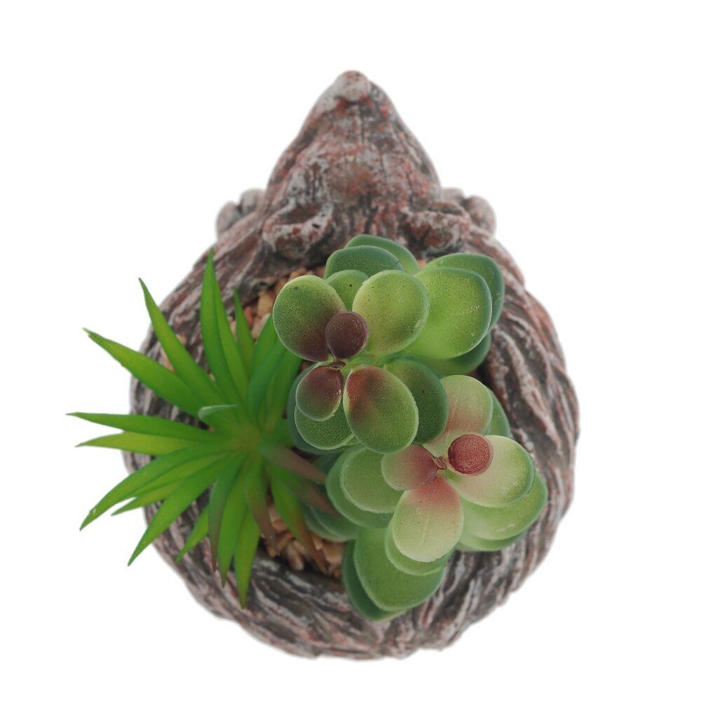 GAEM Цветочная композиция "Суккулент", L14 W12 H12 см, 4в.