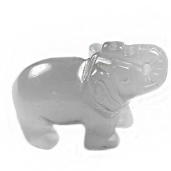 Слон улексит асс.