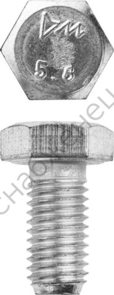 ЗУБР ГОСТ 7798-70 кл. пр. 5.8, M12 x 25 мм, болт оцинкованный, 5 кг (303080-12-025)