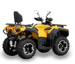 Квадроцикл HISUN Guardian 750 S (ПСМ)