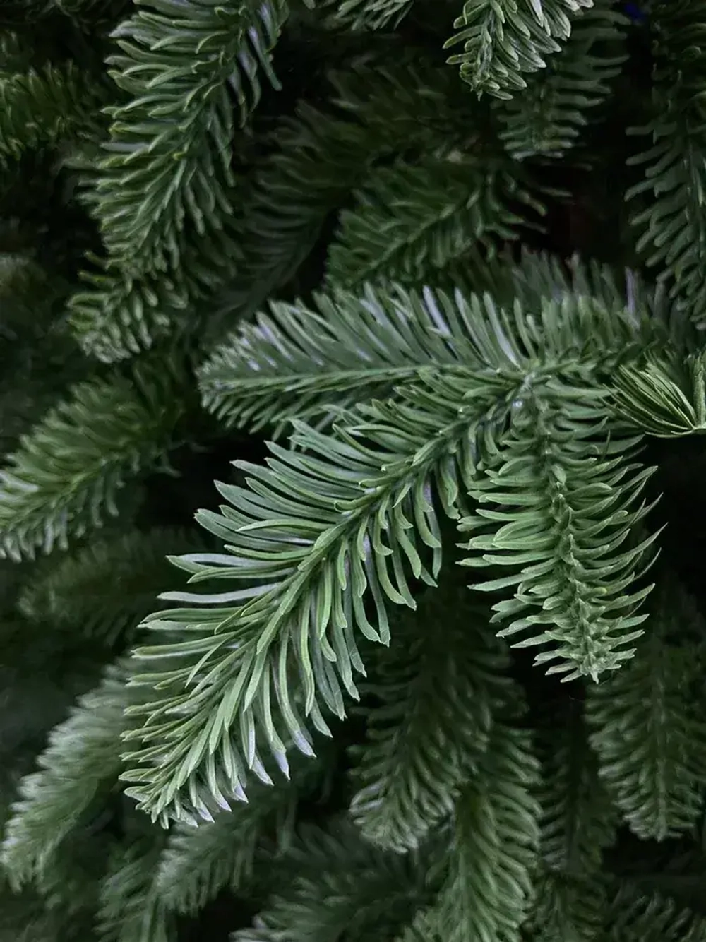 Елка Нормандия 215 см., темно зеленая, стройная, литая хвоя, Triumph Tree (72118)