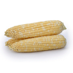 Майбико F1 семена кукурузы (May Seed / Мэй Сид)