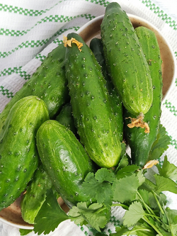 Огурцы салатные 500 - 600 гр.