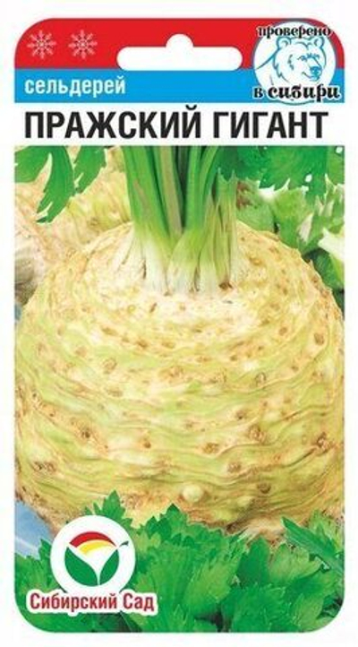Сельдерей Пражский гигант корневой 0,5г (Сиб сад)