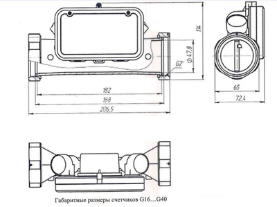 Счетчик газа РАДАН Принц-М G16