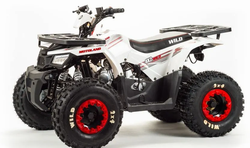 Квадроцикл MOTOLAND (МОТОЛЕНД) 125 WILD