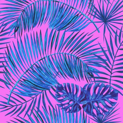 Пальмовые листья, тропики