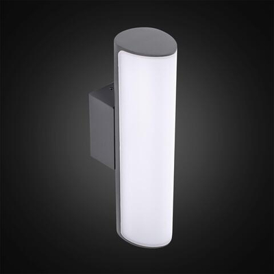 Citilux GARDA CLU0007 LED Уличный светильник Графит