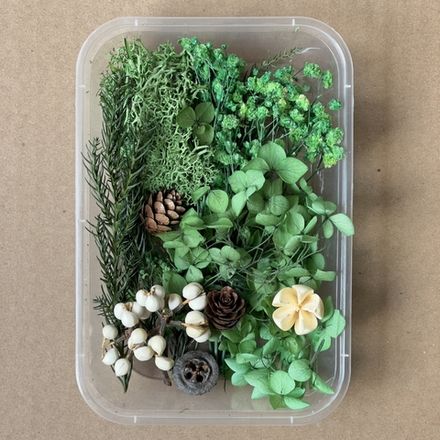 Сухоцветы набор №16