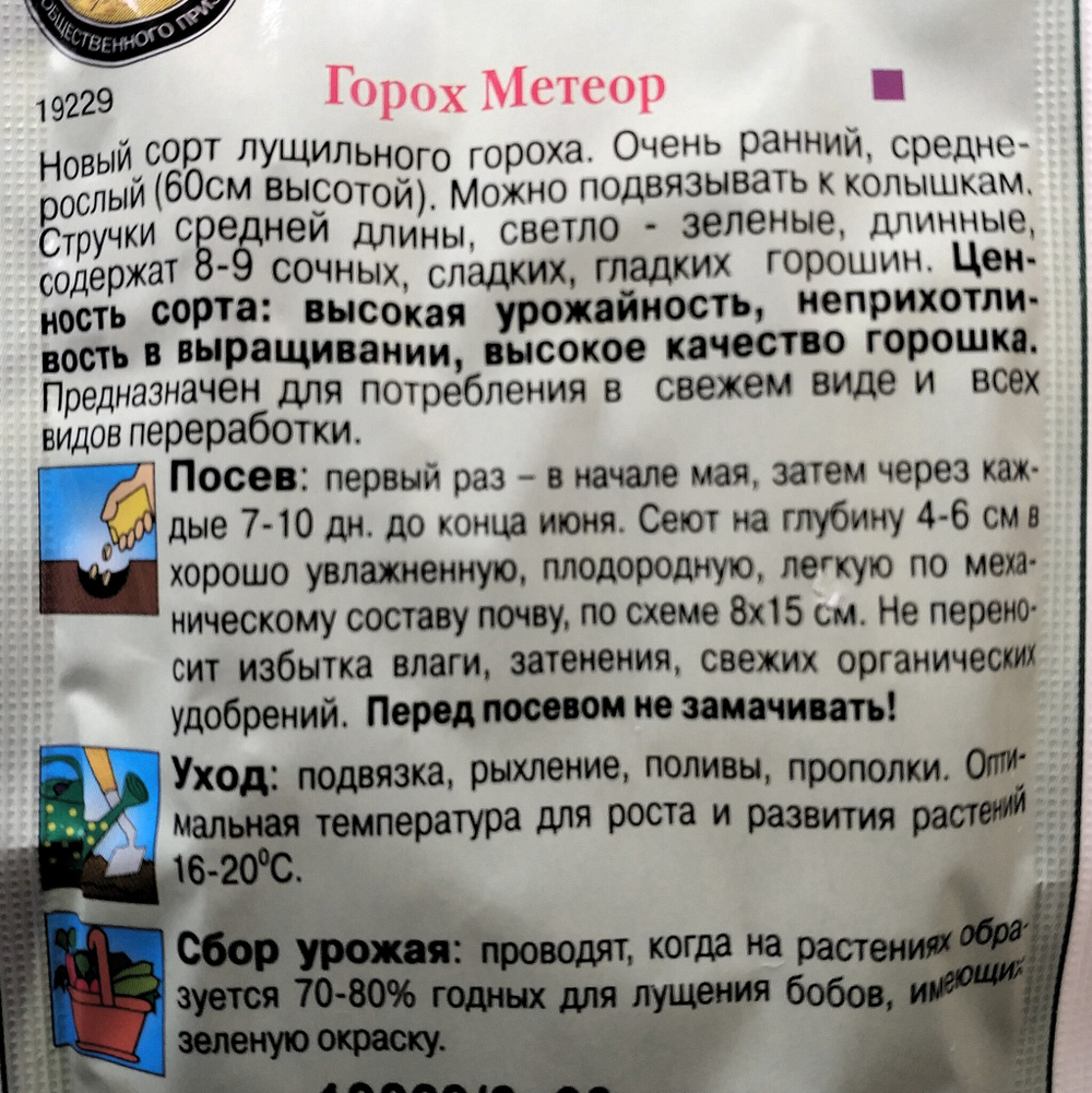 Горох МЕТЕОР