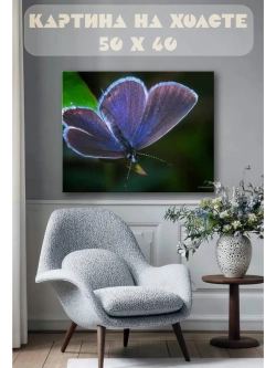Картина на стену 40 X 50 Бабочка