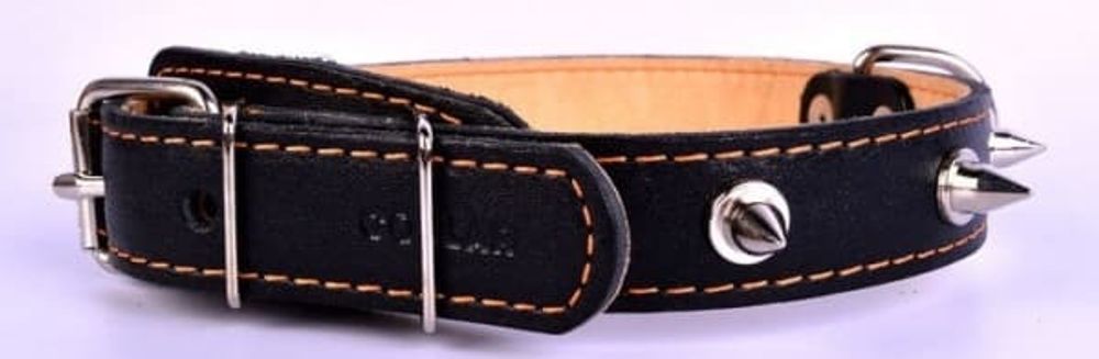Ошейник двойной с шипами, черный (ширина 25мм, длина 38-50см) Collar