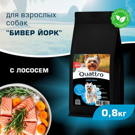 Корм сухой для взрослых собак породы Бивер Йорк, с лососем, 800 гр, QUATTRO