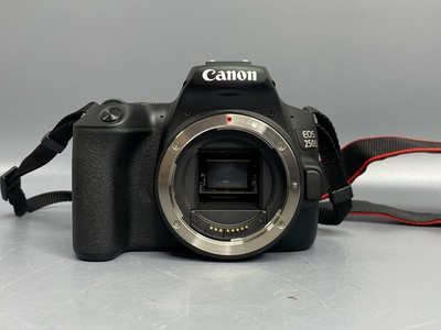 Canon 250D Kit 18-55mm 4-5.6 IS STM 1.000 кадров
