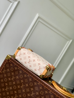Louis Vuitton Side Trunk MM