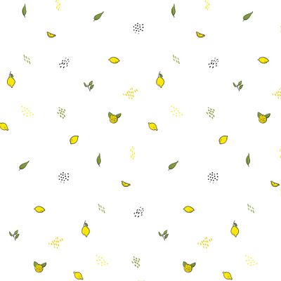 Лимон lemon small