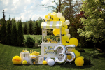 Фотозона "Lemon Party"