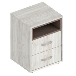 Тумба прикроватная с 2 ящ. и нишей, МС "Анита", (Винтерберг/Рейн бронза)