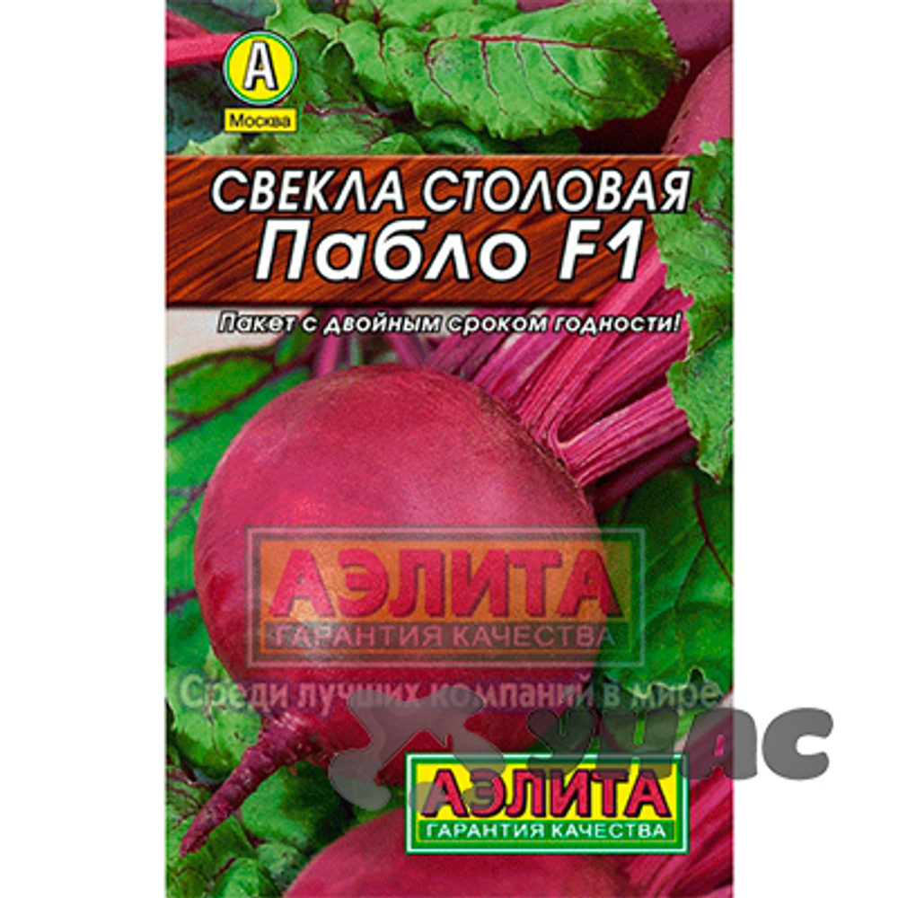 Свекла Пабло