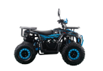 Квадроцикл Racer FREELANDER PRO125 XTS