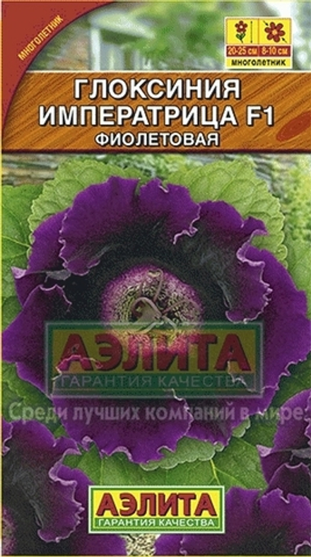 Глоксиния Императрица фиолетовая F1 Аэлита