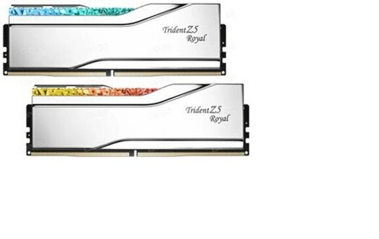 Оперативная память G.SKILL F5-6400J3239G32GX2-TR5S