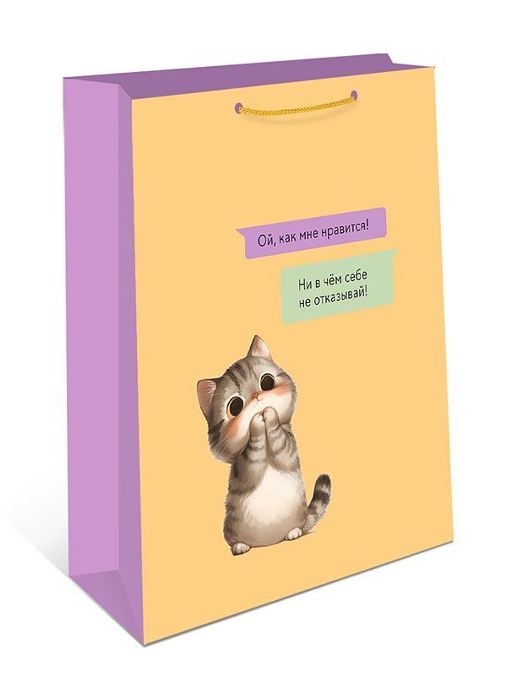 Пакет подар. бумажн. 18*23*10 см, 130гр/м2 Котик