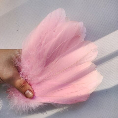 Гусиные перья нежно-розовые 2 сорт 20 шт.