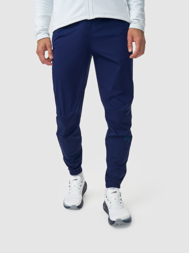 Брюки мужские Винд темно-синие