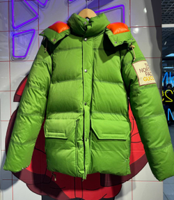 Пуховик The North Face x Gucci