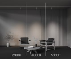 Трековый трехфазный светодиодный светильник Maytoni Trinity   TR197-3-12WCCT-M-W