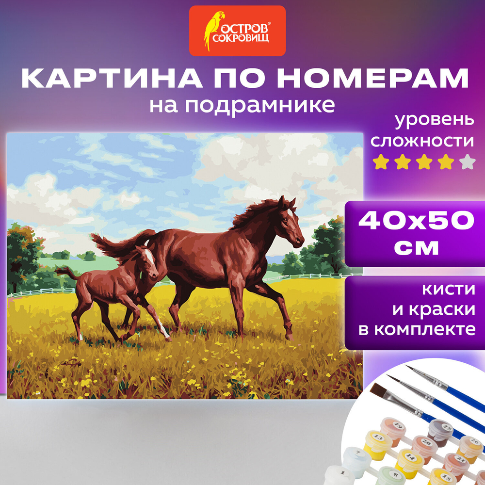 Картина по номерам 40х50 см, ОСТРОВ СОКРОВИЩ "Лошади на лугу", на подрамнике, акриловые краски, 3 кисти, 662464